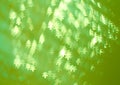 Sunny abstract green nature background, bokeh Royalty Free Stock Photo