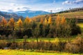 Sunny afternoon in mountainous countryside. trees in autumn foliage. snow capped peak in the distance Royalty Free Stock Photo