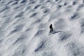 Skiing Whistler BC Canada Royalty Free Stock Photo