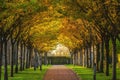 Sunny alley in the autumn park