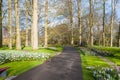 Sunny Alley in Beautiful Park Royalty Free Stock Photo