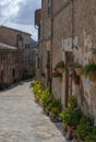 Sunny alley and flower decorations