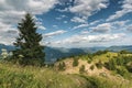 Sunny alpine meadow