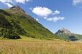 Sunny Alps Field Royalty Free Stock Photo
