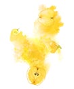 Sunny apples and grapes and yellow splash on white background. Hand-painted abstract illustration Royalty Free Stock Photo