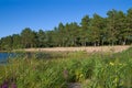 Sunny August day on the shores of Ladoga lake