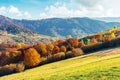 Sunny autumn afternoon mountain scenery Royalty Free Stock Photo