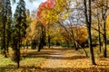City park alley in golden autumn Royalty Free Stock Photo