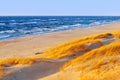 Sunny autumn day on the Baltic sea. Sandy beach, dunes and yellow grass. Royalty Free Stock Photo