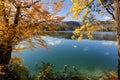Sunny autumn day on Lake Bled, Slovenia Royalty Free Stock Photo