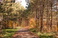 Sunny autumn day view along the pathway on Humber Valley Heritage Trail near Kleinburg, Ontario, Canada