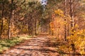 Sunny autumn day view along the pathway on Humber Valley Heritage Trail near Kleinburg, Ontario, Canada