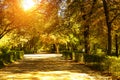 Sunny autumn day and walking people in the Retiro park in Madrid, Spain. Royalty Free Stock Photo