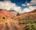 Sunny autumn lanscape with old dirty road in Caucasus mountains. Royalty Free Stock Photo