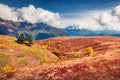 Sunny autumn scene in the Upper Svaneti, Koruldi lakes location, Georgia, Europe. Royalty Free Stock Photo