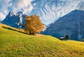 Sunny autumn view of Grindelwald village. Majestic morning scene of Bernese Oberland Alps. Switzerland, Europe. Beauty of countrys