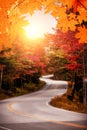 Sunny autumn winding road in the forest. Royalty Free Stock Photo