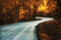 Sunny autumn winding road in the forest. Soft selective focus. Royalty Free Stock Photo