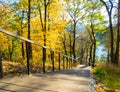 Sunny autumn with yellow trees in Lithuania