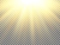 Sunny backdrop. Sun light on transparent background. Golden glowing light effect. Sunlight lens flash. Magic banner Royalty Free Stock Photo