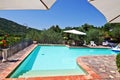 Sunny backyard swimming pool and patio Royalty Free Stock Photo