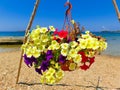 Sunny beach with beautiful flowers