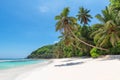 Paradise beach with coconut palms over white sand and turquoise sea on exotic island. Royalty Free Stock Photo