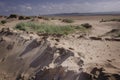 Sunny beach with sand dunes and blue sky.