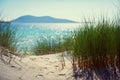 Sunny beach with sand dunes, tall grass and blue sky Royalty Free Stock Photo