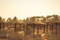 Sunny beach with sun loungers and umbrellas made of reeds