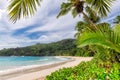 Coconut palm trees and turquoise ocean in Seychelles beach