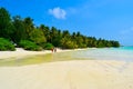 Sunny beach with white sand, coconut palm trees and turquoise sea. Summer vacation and tropical beach concept. Overwater at