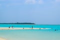 Sunny beach with white sand, coconut palm trees and turquoise sea. Summer vacation and tropical beach concept. Overwater at