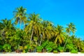 Sunny beach with white sand, coconut palm trees and turquoise sea. Summer vacation and tropical beach concept. Overwater at