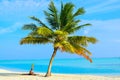 Sunny beach with white sand, coconut palm trees and turquoise sea. Summer vacation and tropical beach concept. Overwater at