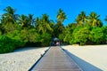 Sunny beach with white sand, coconut palm trees and turquoise sea. Summer vacation and tropical beach concept. Overwater at