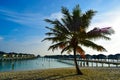 Sunny beach with white sand, coconut palm trees and turquoise sea. Summer vacation and tropical beach concept. Overwater at