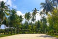 Sunny beach with white sand, coconut palm trees and turquoise sea. Summer vacation and tropical beach concept. Overwater at