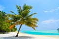 Sunny beach with white sand, coconut palm trees and turquoise sea. Summer vacation and tropical beach concept. Overwater at