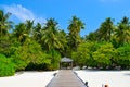 Sunny beach with white sand, coconut palm trees and turquoise sea. Summer vacation and tropical beach concept. Overwater at