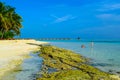 Sunny beach with white sand, coconut palm trees and turquoise sea. Summer vacation and tropical beach concept. Overwater at