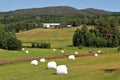 Beautiful summer landscape in Ãâ¦ngermanland Royalty Free Stock Photo