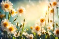 Sunny Bliss: Daisies on Luminous Yellow with Bokeh Lights