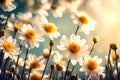 Sunny Bliss: Daisies on Luminous Yellow with Bokeh Lights