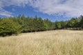 Sunny Blue Sky, Meadow and hills Royalty Free Stock Photo