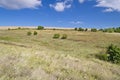 Sunny Blue Sky, Meadow and a tree Royalty Free Stock Photo