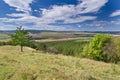 Sunny Blue Sky, Meadow and a tree Royalty Free Stock Photo