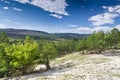 Sunny Blue Sky, Meadow and a tree Royalty Free Stock Photo