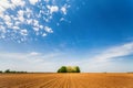 Sunny brown soil field Royalty Free Stock Photo