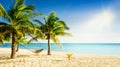 Sunny carribean beach with palmtrees and traditional braided hammock